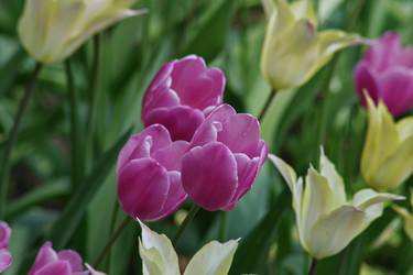 Similar image 22753766