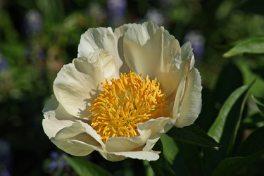 Similar image 22738480