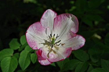 Similar image 22753784