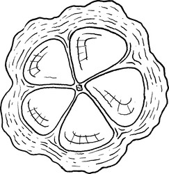 Similar image 22738203