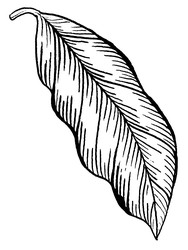 Similar image 22738205