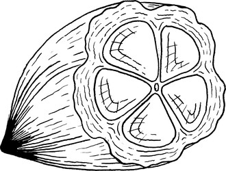 Similar image 22738208