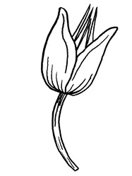 Similar image 22738213