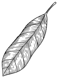 Similar image 22738216