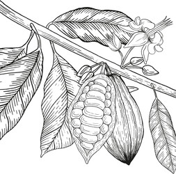 Similar image 22738219