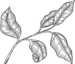 Similar image 22738225