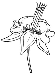 Similar image 22738231