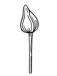 Similar image 22738232