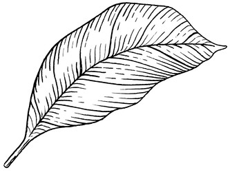 Similar image 22738233