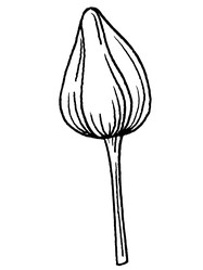Similar image 22738234