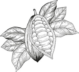 Similar image 22738236