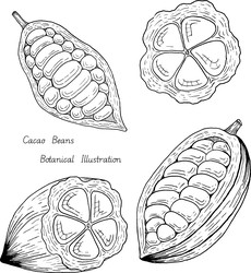 Similar image 22738237