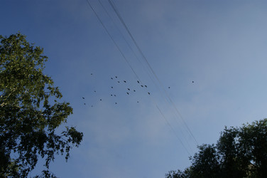 Similar image 22746890