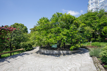 Similar image 22741530