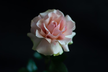 Similar image 22738117