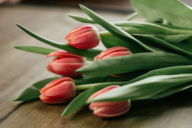 Similar image 22738118