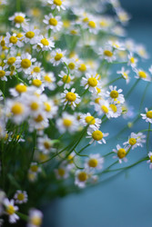 Similar image 22738120