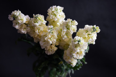 Similar image 22738122