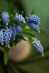 Similar image 22738123