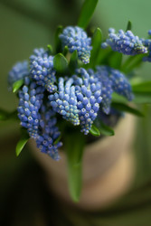 Similar image 22738126