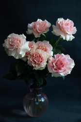 Similar image 22738128