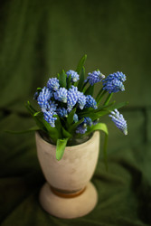 Similar image 22738129