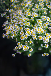 Similar image 22738130