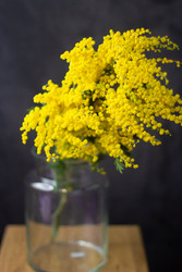Similar image 22738131