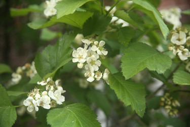 Similar image 22751833