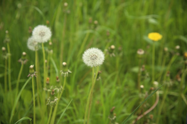 Similar image 22760158