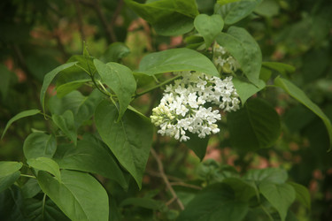 Similar image 22756628