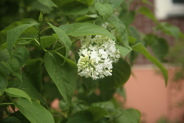 Similar image 22756629