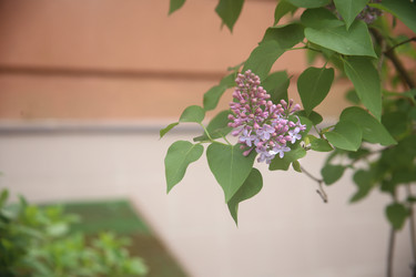 Similar image 22751835