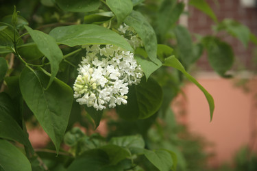 Similar image 22756630