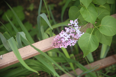 Similar image 22751838