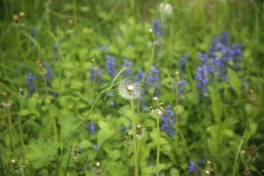 Similar image 22760162
