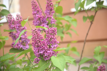 Similar image 22751839