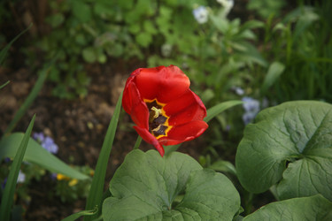 Similar image 22756632