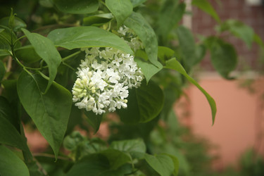 Similar image 22756633