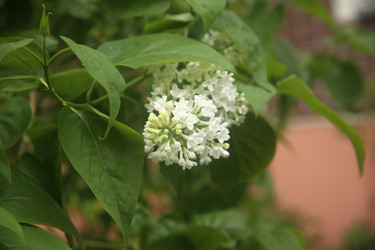Similar image 22756634