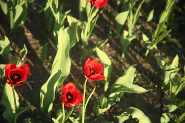 Similar image 22760171