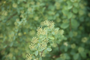 Similar image 22760172