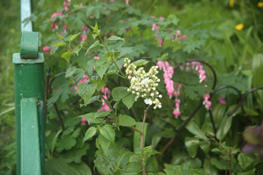 Similar image 22756635