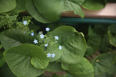 Similar image 22738636