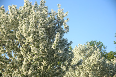 Similar image 22760173