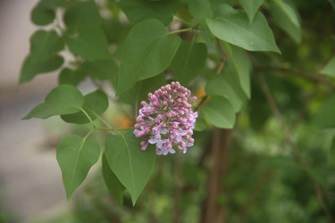 Similar image 22756637