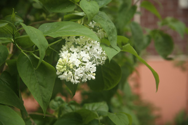 Similar image 22756638