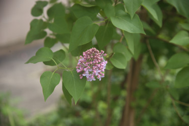 Similar image 22756644