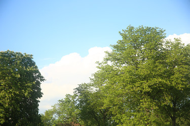 Similar image 22760175