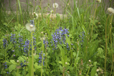Similar image 22759065